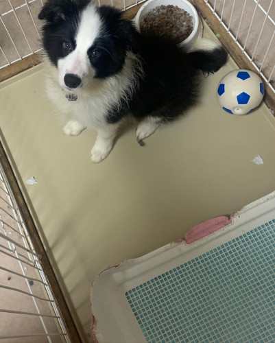 4BA9AC3E-0253-4EBD-BB93-6961AE352072.jpeg