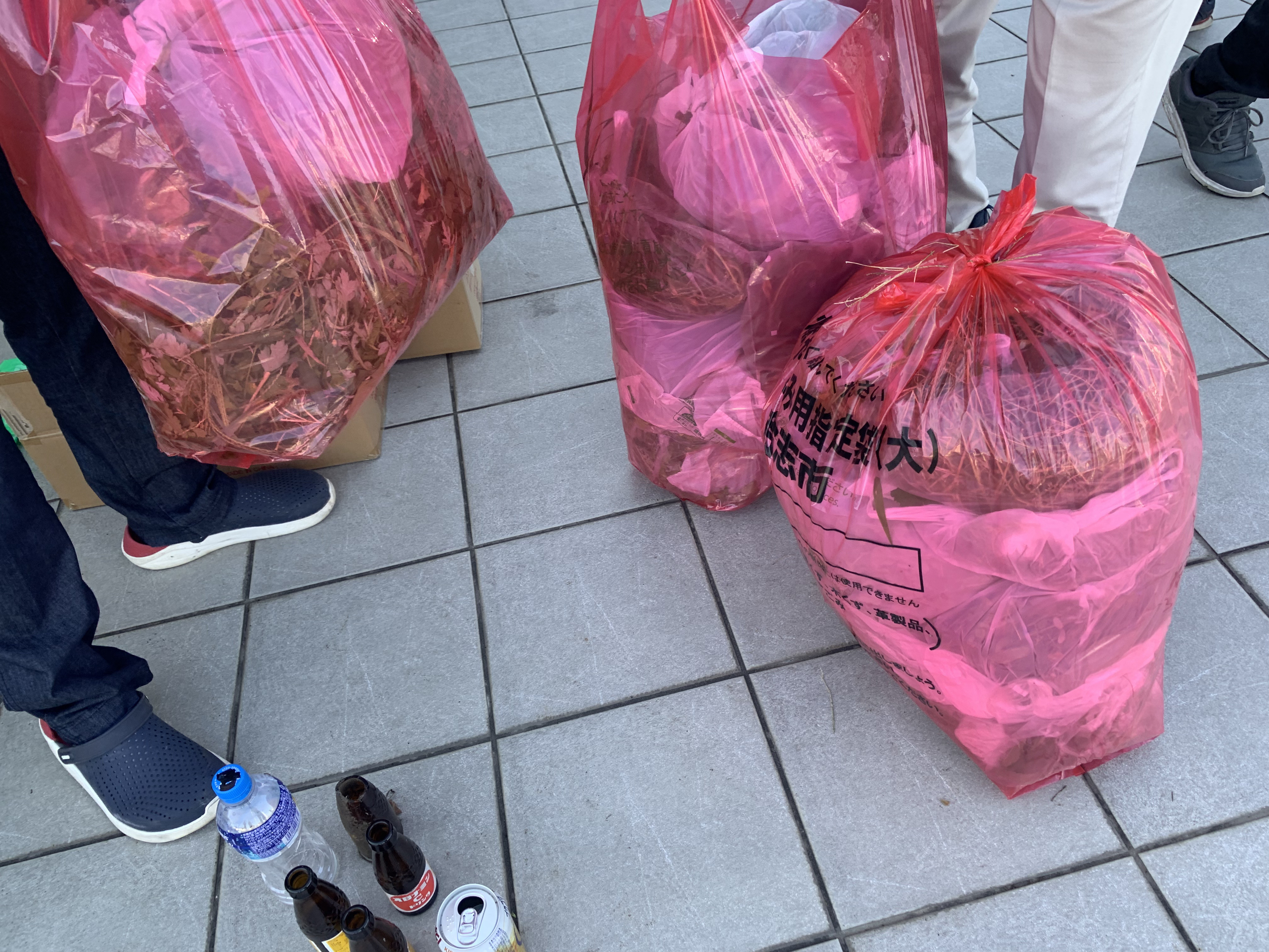 IMG_8180.jpeg