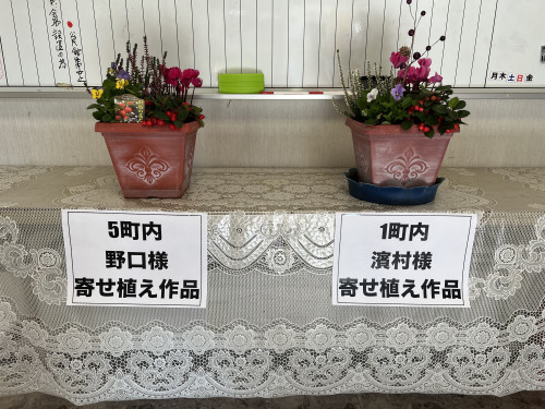 IMG_1863.jpeg