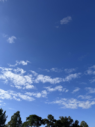 IMG_3560.jpeg