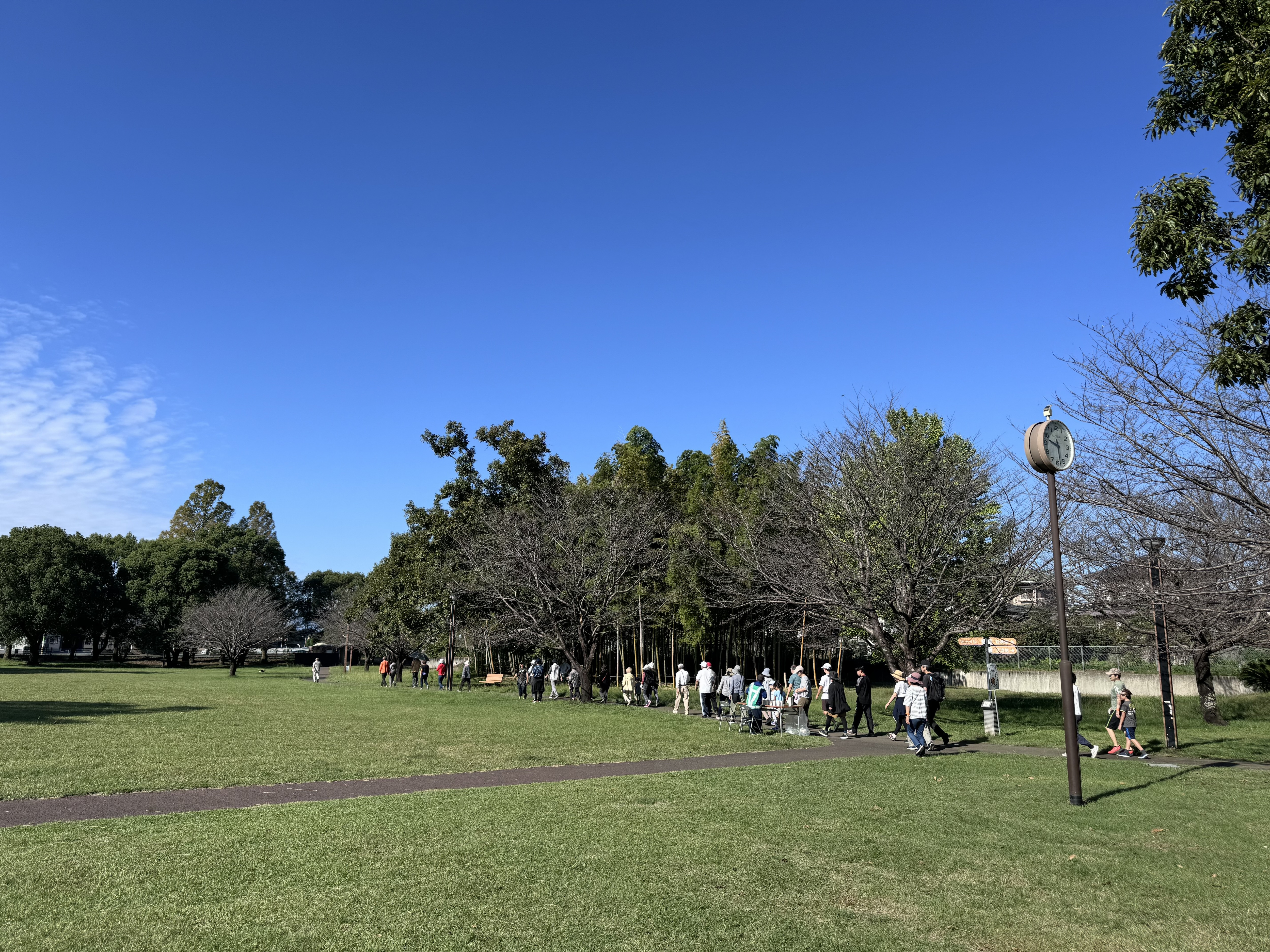 IMG_5700.jpeg