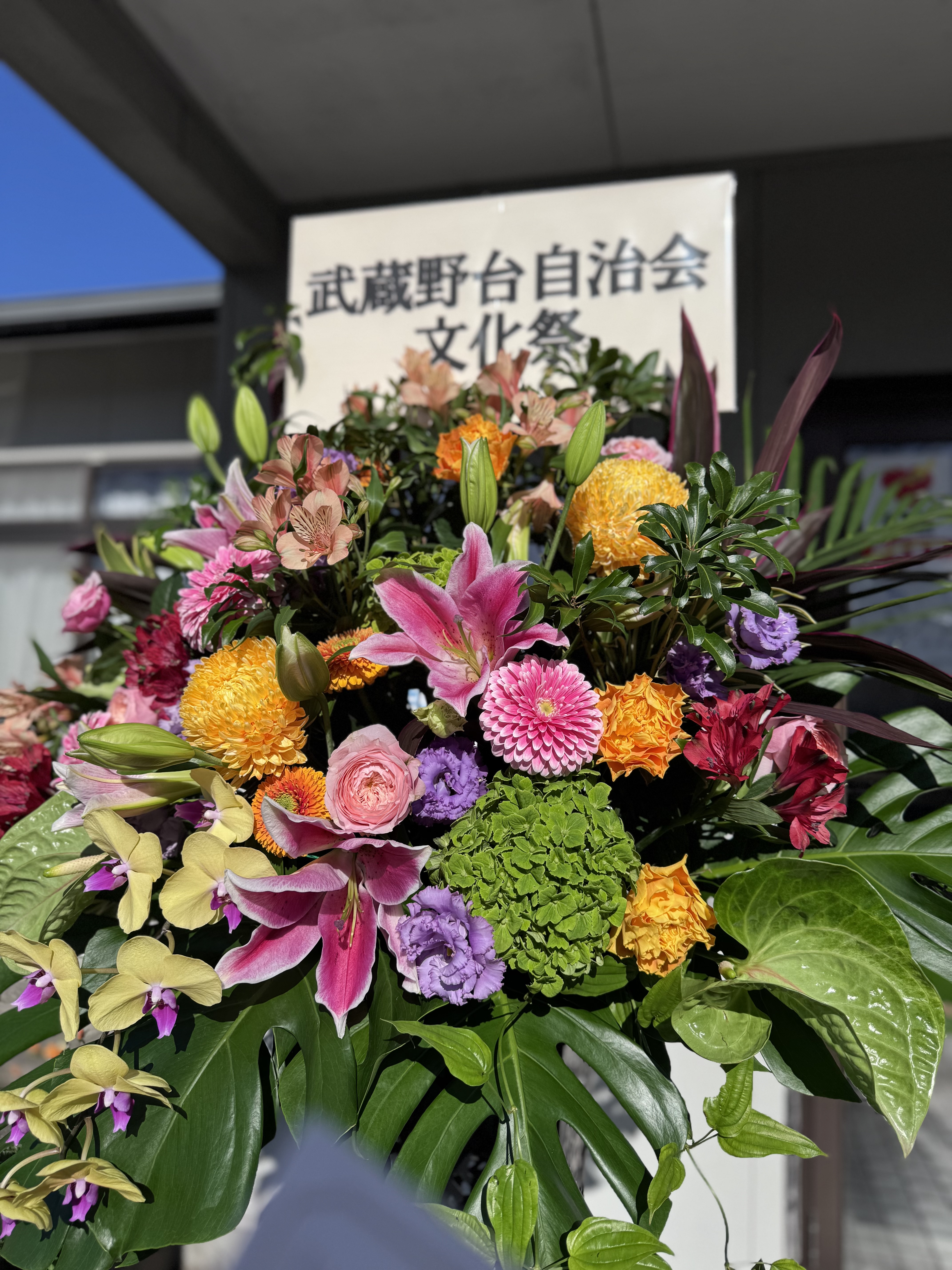 IMG_7925.jpeg