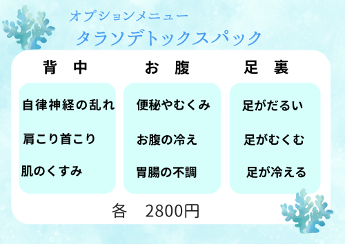 ブルー　パープル　ピンク　パステル　シンプル　おしゃれ　海　夏季　休業　案内　A4文書_20250801_083422_0000.png