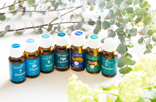 ２月・３月はレインドロップキャンペーンです❤️