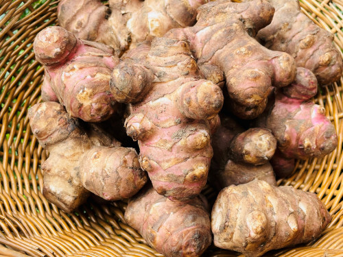 赤生菊芋の販売開始のお知らせ