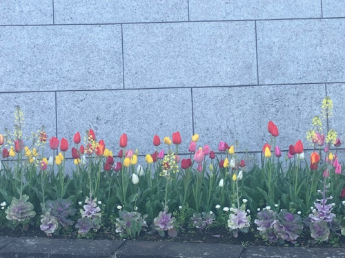 image0 (2).jpeg