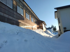 DSC_2652.jpg