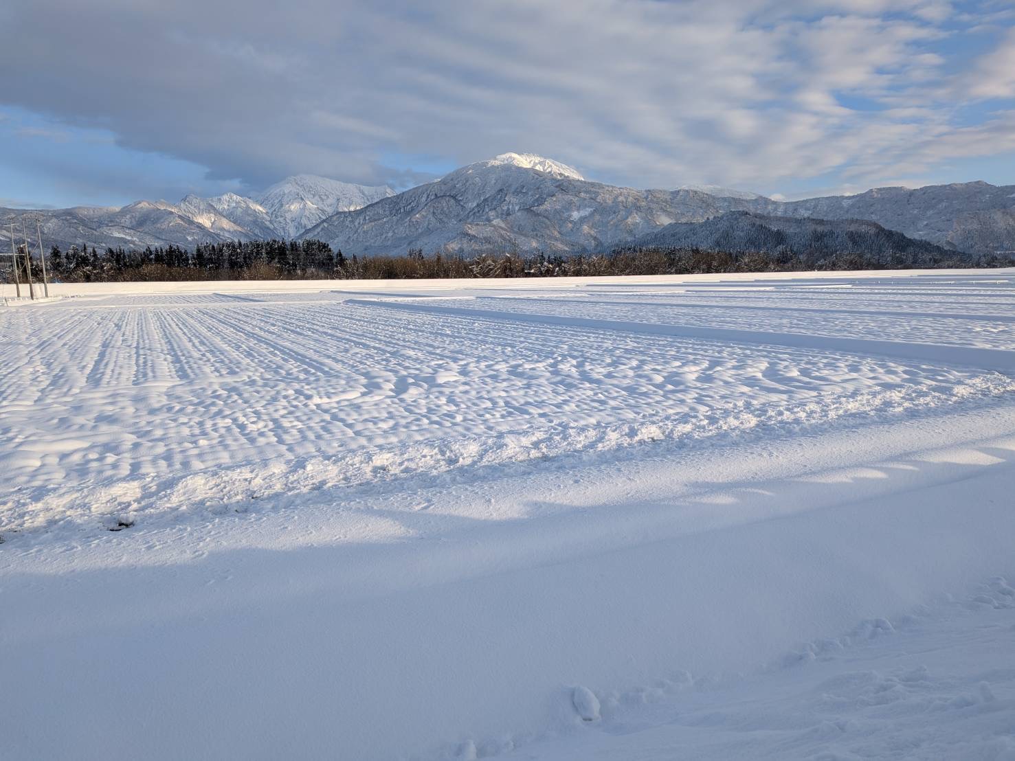明けましておめでとうございます