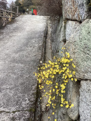 IMG_7072.jpeg