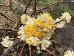 IMG_7108.jpeg