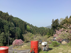 IMG_7486.jpeg