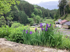 IMG_7627.jpeg