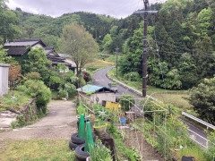 IMG_7643.jpeg