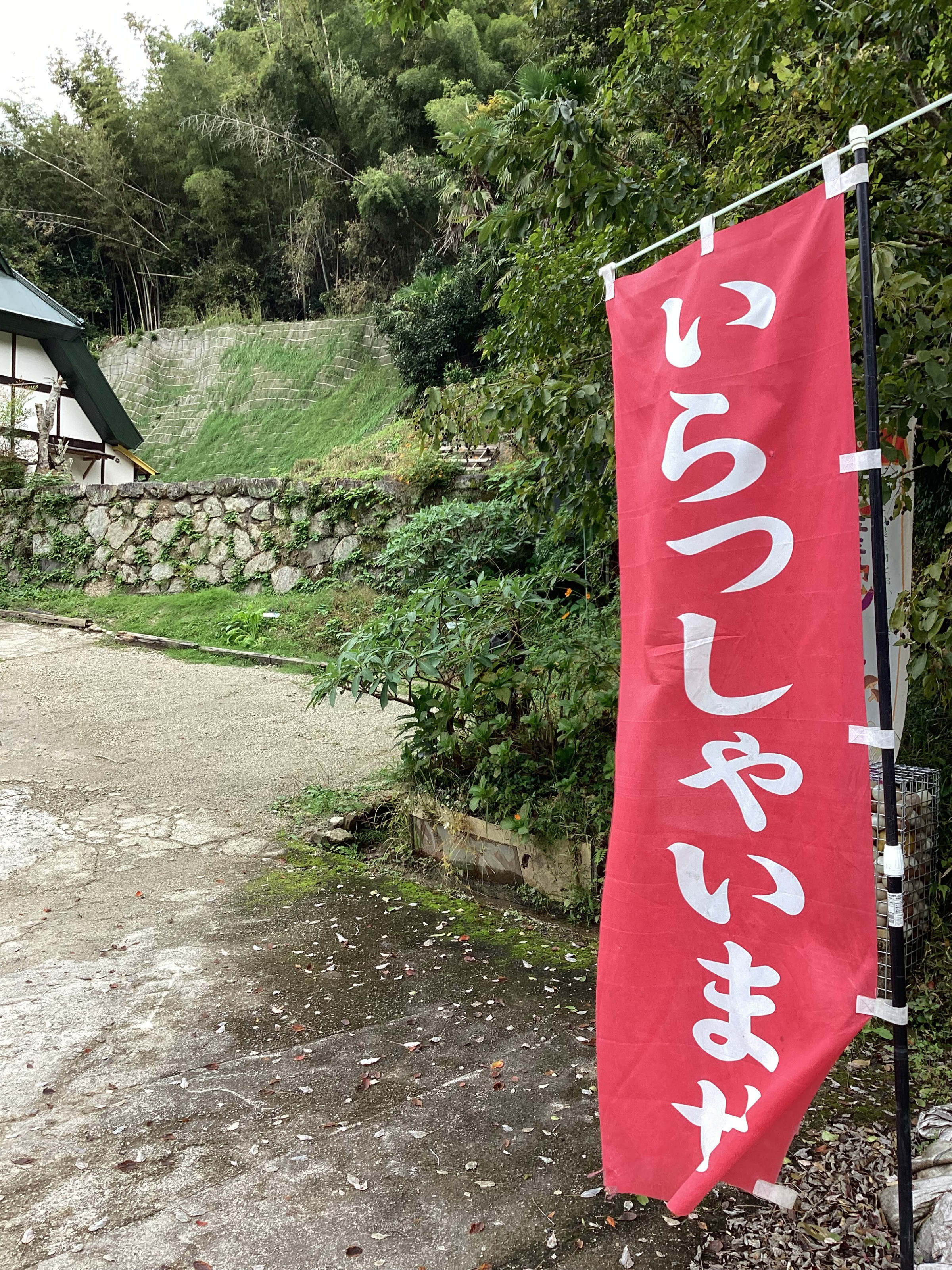 土砂崩れ跡に草ボーボー