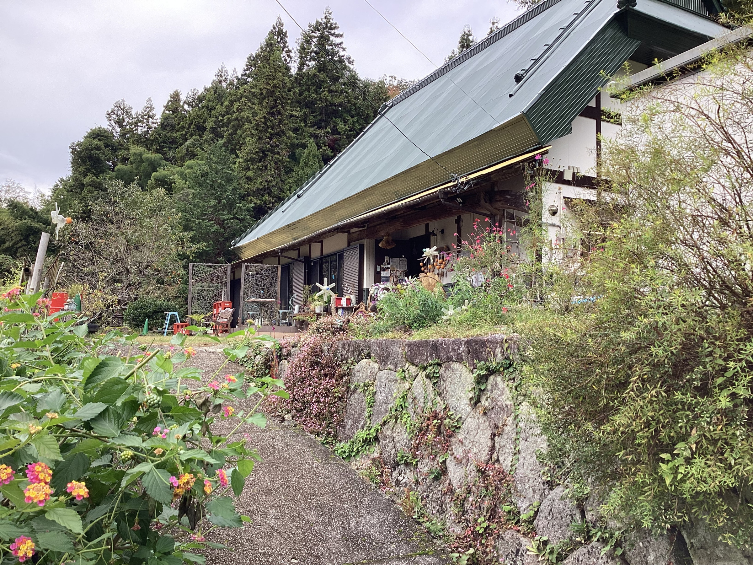 168農園横の坂を登れば168