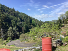 IMG_0536.jpeg