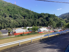 IMG_1442.jpeg