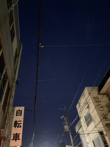 3月11日(土)