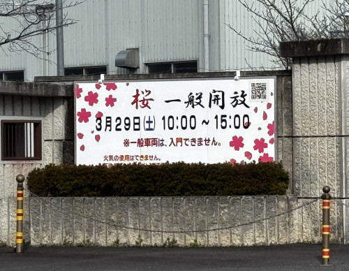 3月29日　☘️目達原駐屯地&リアン☘️の 桜の鑑賞撮影会🌸