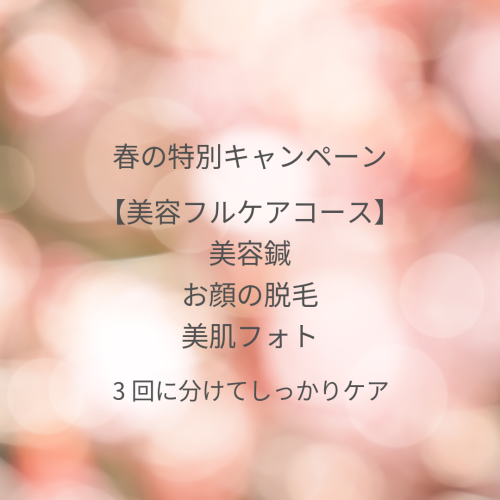 春の特別キャンペーン🌸