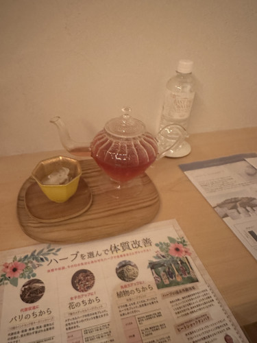 IMG_4535.jpeg