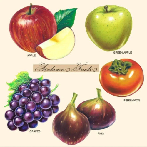 秋FRUITS.jpg