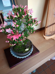IMG_20250528_155758918_HDR.jpg