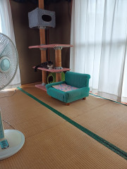 IMG_20250718_121102831.jpg