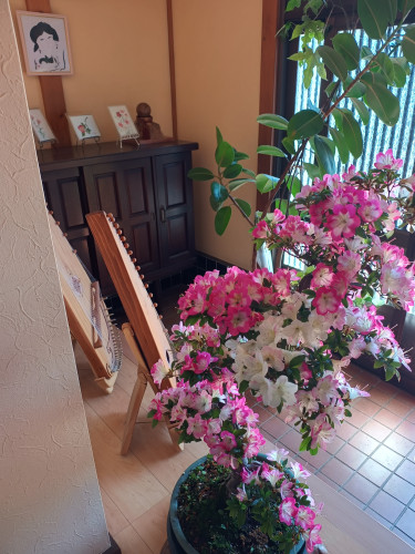 IMG_20260530_093929301_HDR.jpg