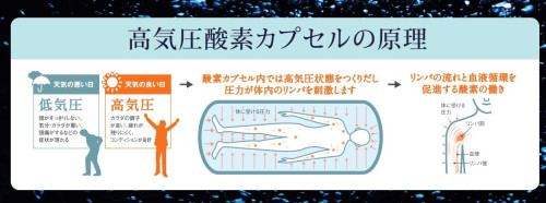 カプセルパンフレット - コピー_page-0001.jpg