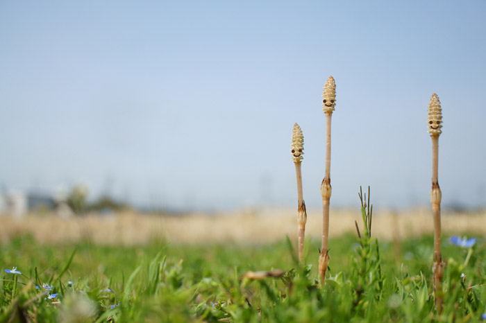 5月からの営業日・営業時間変更のお知らせ
