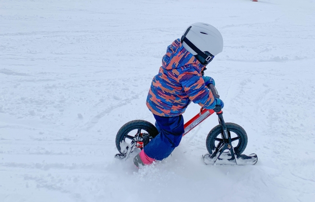 面会交流支援のお知らせ（1月26日）