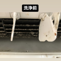 4E4E5086-E2B2-435B-B473-C210253EC71F.jpeg