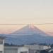 IMG_1406.JPG
