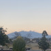 IMG_1407.JPG