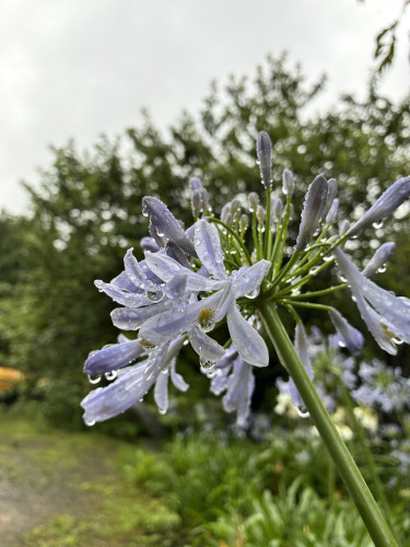 IMG_0839.jpeg