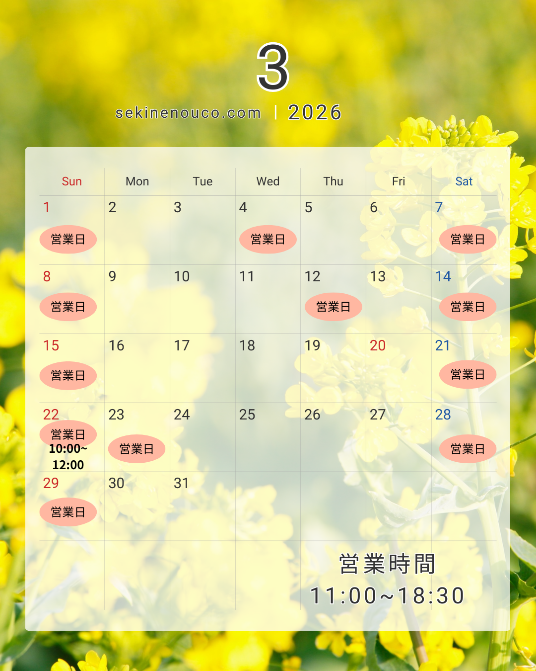 モノトーン　シンプル　営業日　予約状況　カレンダー　2025年  11月 12月　Instagram投稿 (1).png