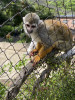 IMG_3087.jpeg