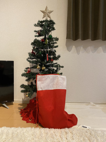 クリスマスかも.jpg