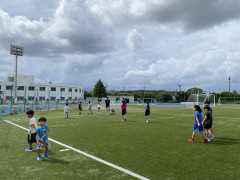 IMG_7883.jpeg