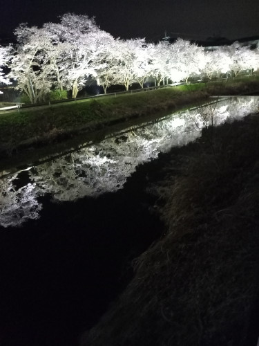 20230402_192159.jpg