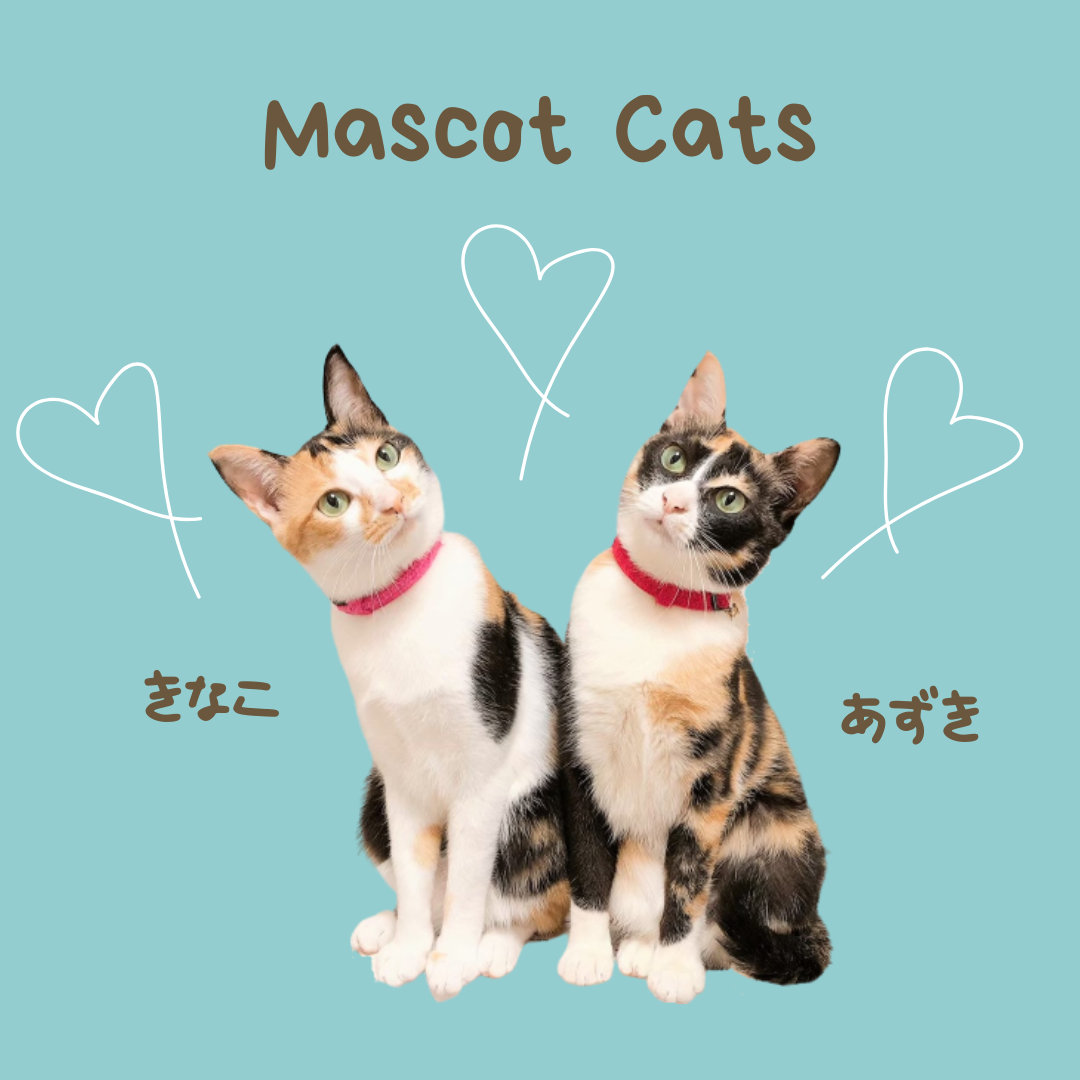 Mascot Cats