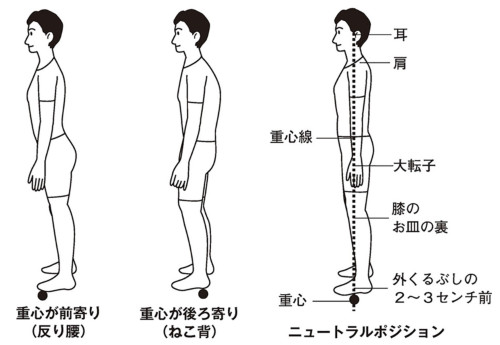 重心線横.jpg