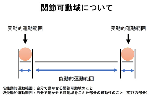 モーションパルペーション.jpg