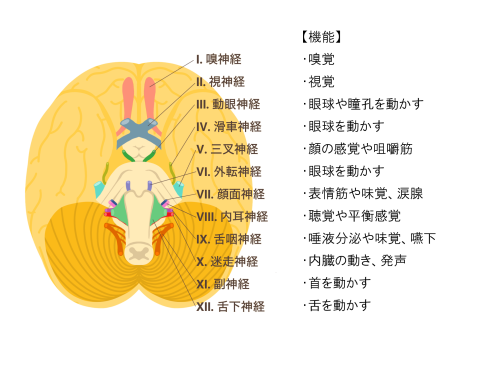 nousinnkei.png