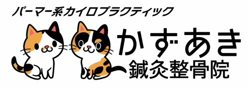 岡山市北区のカイロプラクティック・整骨院｜かずあき鍼灸整骨院