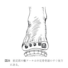横アーチ.jpg