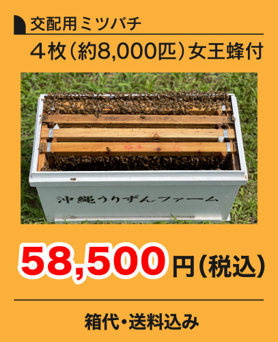 交配用ミツバチ4枚価格26.7.1.jpg