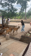 団員紹介 よっしー.jpg