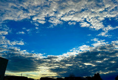 団員紹介 ちゃむ.jpg